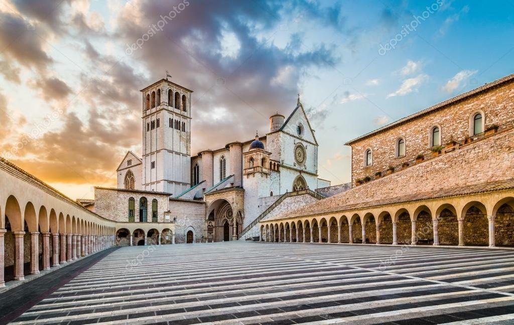 Cherihomeassisi *